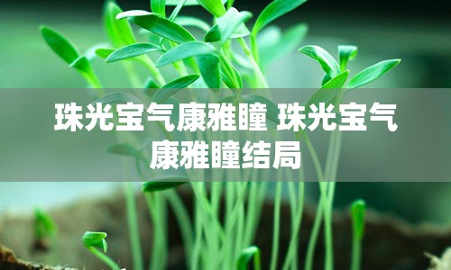 珠光宝气康雅瞳 珠光宝气康雅瞳结局