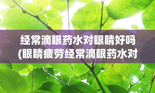 经常滴眼药水对眼睛好吗(眼睛疲劳经常滴眼药水对眼睛好吗)