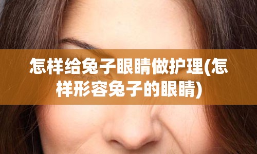 怎样给兔子眼睛做护理(怎样形容兔子的眼睛)