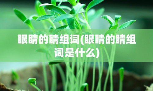 眼睛的睛组词(眼睛的睛组词是什么)