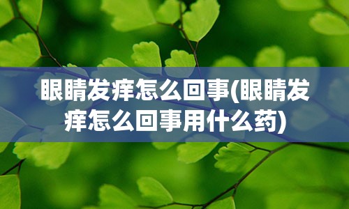 眼睛发痒怎么回事(眼睛发痒怎么回事用什么药)