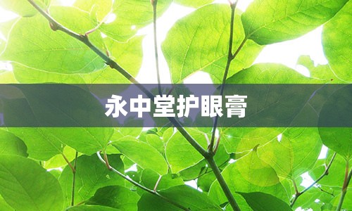 永中堂护眼膏