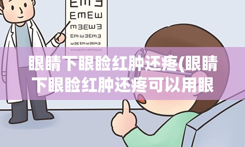 眼睛下眼睑红肿还疼(眼睛下眼睑红肿还疼可以用眼药水吗)