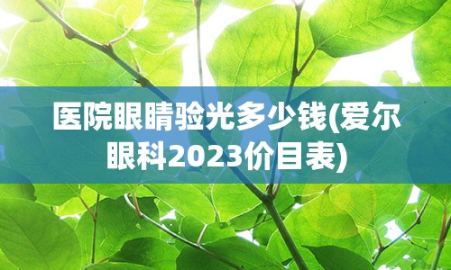 医院眼睛验光多少钱(爱尔眼科2023价目表)