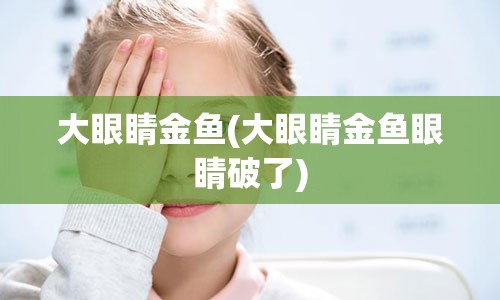 大眼睛金鱼(大眼睛金鱼眼睛破了)