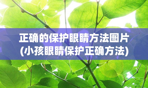 正确的保护眼睛方法图片(小孩眼睛保护正确方法)