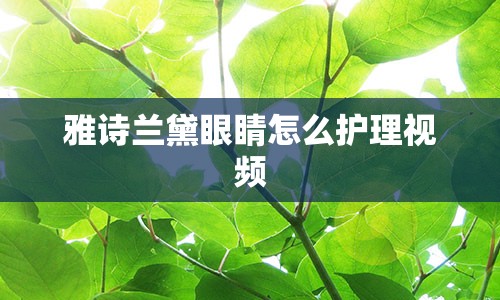 雅诗兰黛眼睛怎么护理视频