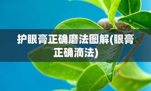 护眼膏正确磨法图解(眼膏正确滴法)