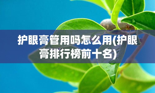 护眼膏管用吗怎么用(护眼膏排行榜前十名)