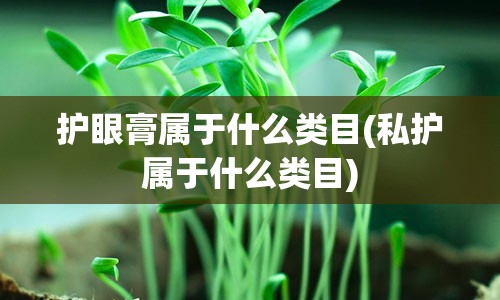 护眼膏属于什么类目(私护属于什么类目)