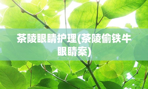 茶陵眼睛护理(茶陵偷铁牛眼睛案)