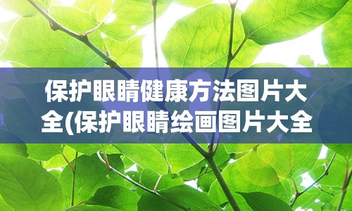 保护眼睛健康方法图片大全(保护眼睛绘画图片大全)