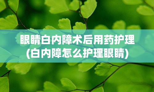 眼睛白内障术后用药护理(白内障怎么护理眼睛)