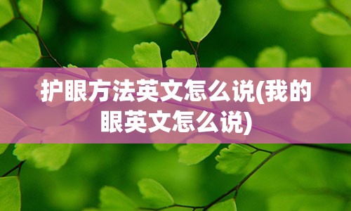 护眼方法英文怎么说(我的眼英文怎么说)