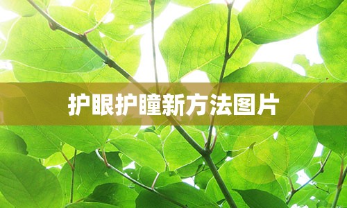 护眼护瞳新方法图片