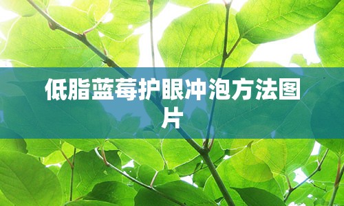 低脂蓝莓护眼冲泡方法图片