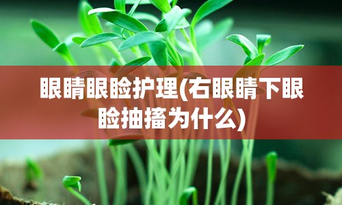 眼睛眼睑护理(右眼睛下眼睑抽搐为什么)