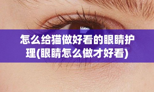 怎么给猫做好看的眼睛护理(眼睛怎么做才好看)