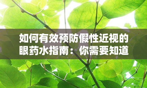 如何有效预防假性近视的眼药水指南：你需要知道的一切