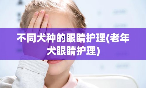 不同犬种的眼睛护理(老年犬眼睛护理)