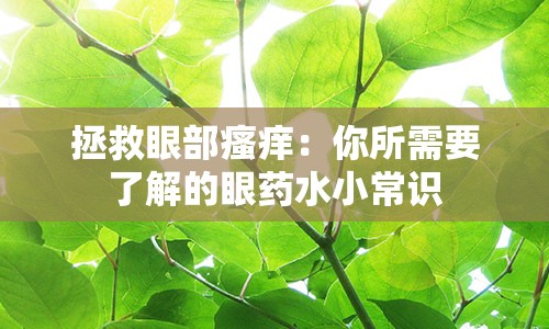 拯救眼部瘙痒：你所需要了解的眼药水小常识