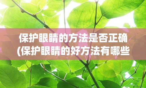 保护眼睛的方法是否正确(保护眼睛的好方法有哪些)