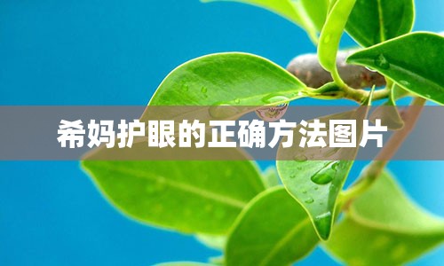 希妈护眼的正确方法图片