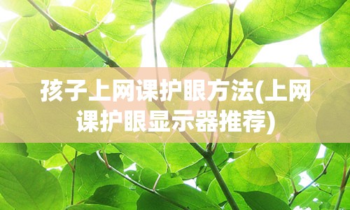 孩子上网课护眼方法(上网课护眼显示器推荐)