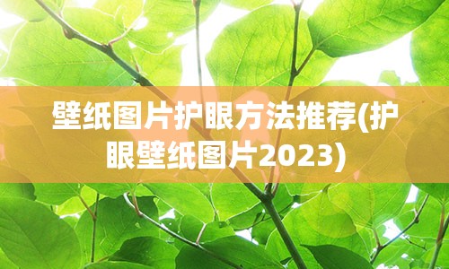 壁纸图片护眼方法推荐(护眼壁纸图片2023)