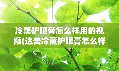 冷薰护眼膏怎么样用的视频(达美冷薰护眼膏怎么样)