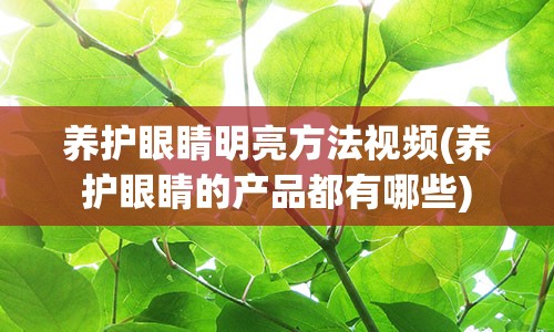 养护眼睛明亮方法视频(养护眼睛的产品都有哪些)