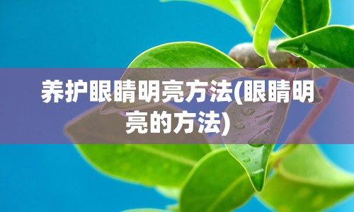 养护眼睛明亮方法(眼睛明亮的方法)