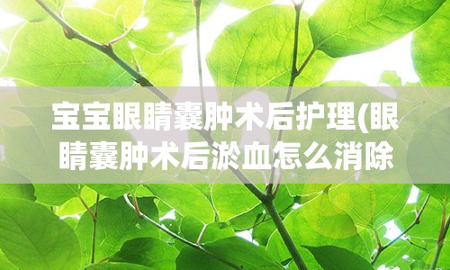 宝宝眼睛囊肿术后护理(眼睛囊肿术后淤血怎么消除)