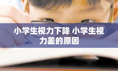 小学生视力下降 小学生视力差的原因