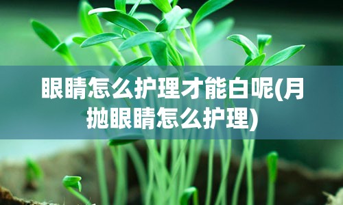 眼睛怎么护理才能白呢(月抛眼睛怎么护理)