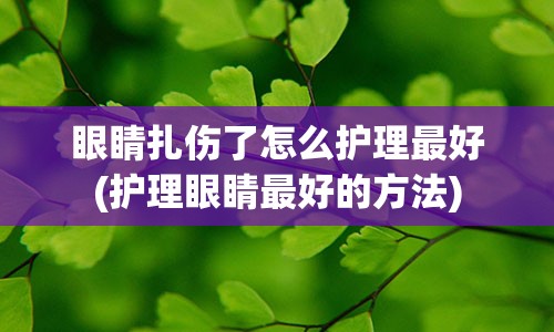 眼睛扎伤了怎么护理最好(护理眼睛最好的方法)