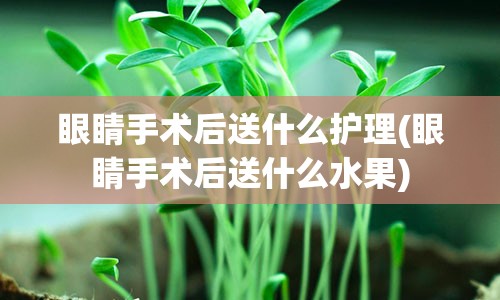 眼睛手术后送什么护理(眼睛手术后送什么水果)