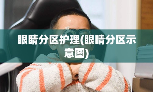 眼睛分区护理(眼睛分区示意图)