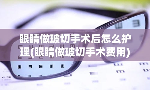 眼睛做玻切手术后怎么护理(眼睛做玻切手术费用)