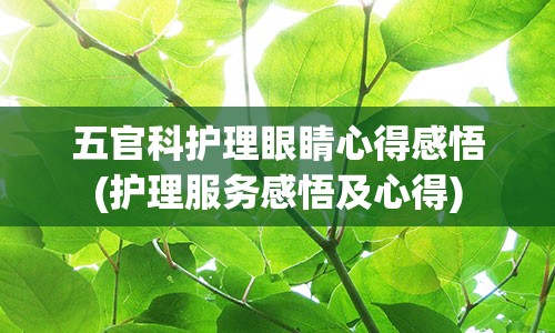 五官科护理眼睛心得感悟(护理服务感悟及心得)