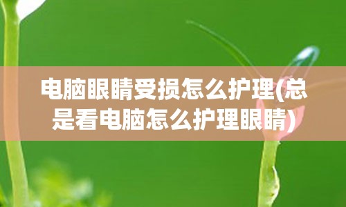 电脑眼睛受损怎么护理(总是看电脑怎么护理眼睛)