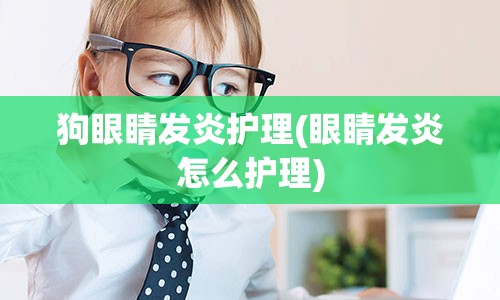 狗眼睛发炎护理(眼睛发炎怎么护理)