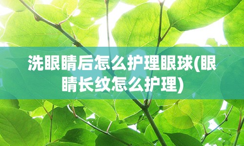 洗眼睛后怎么护理眼球(眼睛长纹怎么护理)