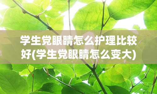 学生党眼睛怎么护理比较好(学生党眼睛怎么变大)