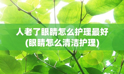 人老了眼睛怎么护理最好(眼睛怎么清洁护理)