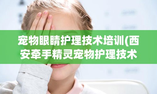 宠物眼睛护理技术培训(西安牵手精灵宠物护理技术培训学校)