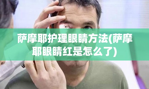 萨摩耶护理眼睛方法(萨摩耶眼睛红是怎么了)