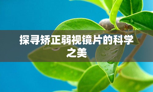 探寻矫正弱视镜片的科学之美