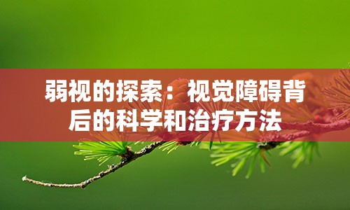 弱视的探索：视觉障碍背后的科学和治疗方法