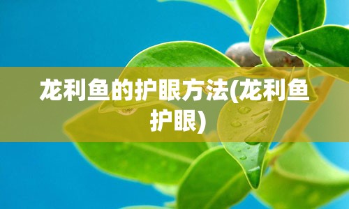 龙利鱼的护眼方法(龙利鱼 护眼)